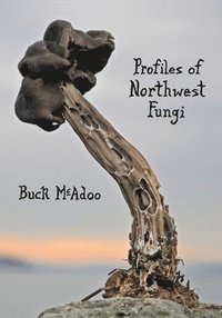 bokomslag Profiles of Northwest Fungi