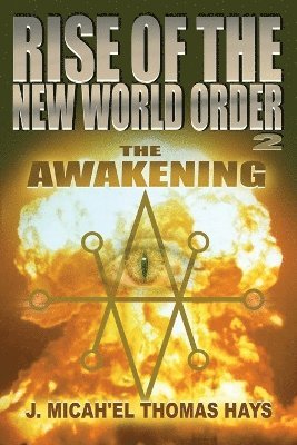 bokomslag Rise of the New World Order 2