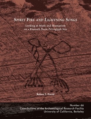 Robert J David - Spirit Fire and Lightning Songs, Häftad