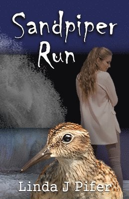 Sandpiper Run 1