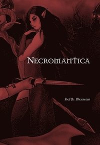 bokomslag Necromantica