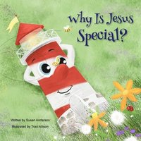 bokomslag Why Is Jesus Special?: Ishnabobber Books