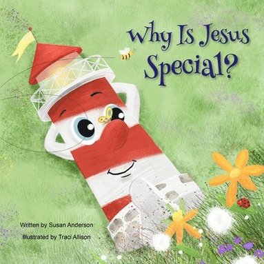 Susan Anderson - Why Is Jesus Special?: Ishnabobber Books, Häftad