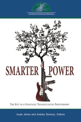 Disentangling Smart Power: Interest, Tools and Strategies