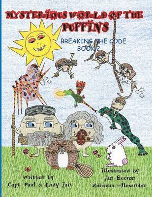 bokomslag The Mysterious World Of The Puffins Breaking The Code Book 2