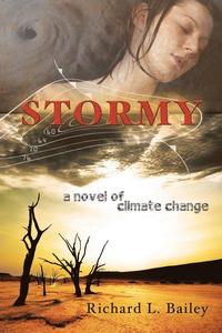 bokomslag Stormy