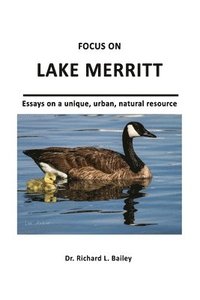bokomslag Focus on Lake Merritt