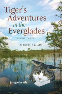 bokomslag Tiger's Adventures in the Everglades Volume Three
