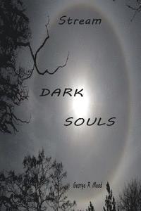 bokomslag Dark Souls: Stream