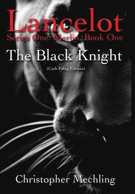 The Black Knight: (Lancelot, Series One: Merlin, Book One) 1