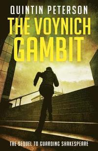 bokomslag The Voynich Gambit