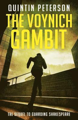 The Voynich Gambit 1