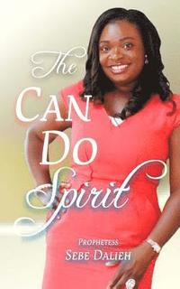 bokomslag The Can Do Spirit