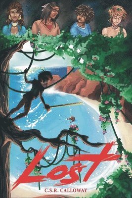 C S R Calloway, C. S. R. Calloway - Lost, Häftad