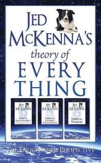 bokomslag Jed McKenna's Theory of Everything