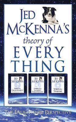 bokomslag Jed McKenna's Theory of Everything