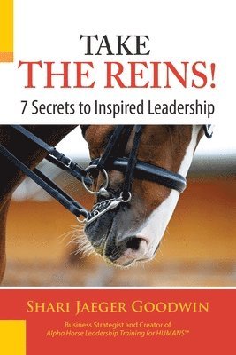 Take The Reins! 1