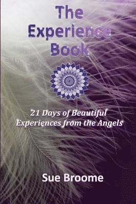 The Experience Book: 21 Days of Beautiful Experiences from the Angels 1