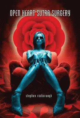Open Heart Sutra Surgery