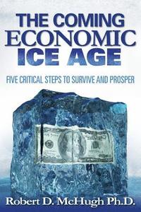 bokomslag Five Critical Steps to Survive and Prosper in the Coming Economic Ice Age