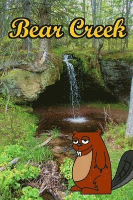 Bear Creek 1