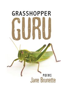 bokomslag Grasshopper Guru