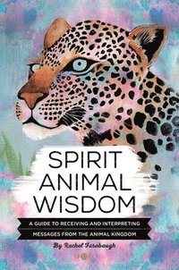 bokomslag Spirit Animal Wisdom