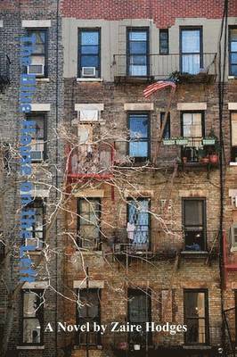 Zaire Hodges, Anelda Attaway - Blue House on the Left, Häftad