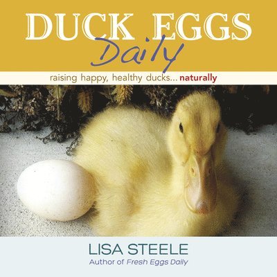 Duck Eggs Daily 1