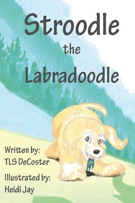 Stroodle the Labradoodle 1