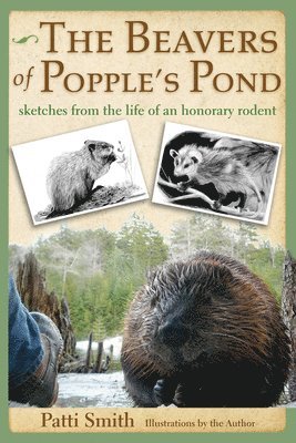 Patti Smith - The Beavers of Popple's Pond: Sketches from the Life of an Honorary Rodent, Häftad