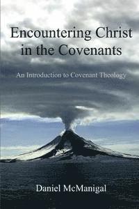 bokomslag Encountering Christ in the Covenants: An Introduction to Covenant Theology