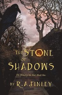 bokomslag The Stone of Shadows