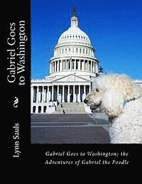 bokomslag Gabriel Goes to Washington: Through Big Brown Eyes; the Adventures of Gabriel the Poodle