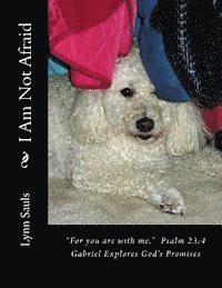 bokomslag I Am Not Afraid: 'For you are with me.' Psalm 23:4 Gabriel Explores God's Promises