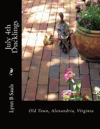 July 4th Ducklings: Old Town, Alexandria, Virginia