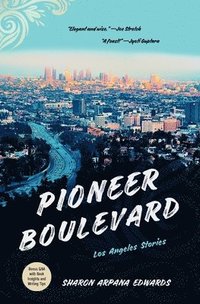 bokomslag Pioneer Boulevard: Los Angeles Stories