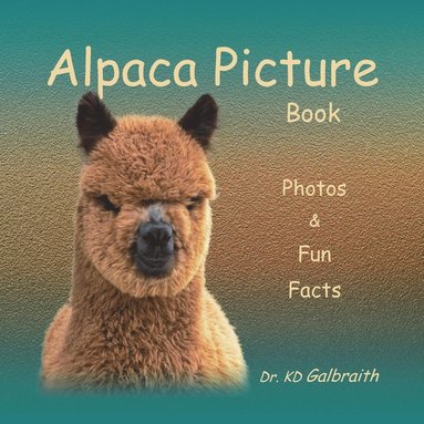 bokomslag Alpaca Picture Book