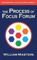 bokomslag The Process of Focus Forum: Peer-Assisted Learning & Development