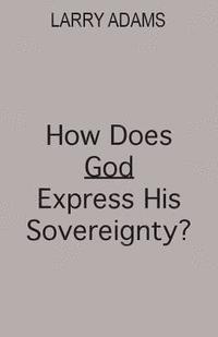 bokomslag How Does God Express His Sovereignty?