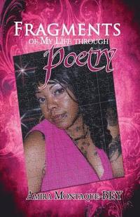 bokomslag Fragments of My Life Through Poetry