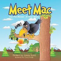 bokomslag Meet Mac - Our Pet Raven - A True Story