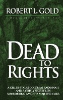 bokomslag Dead to Rights