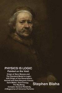 bokomslag Physics is Logic Painted on the Void