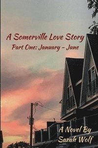 bokomslag Somerville Love Story