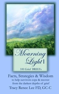 bokomslag Mourning Light 1: 100 Grief Briefs