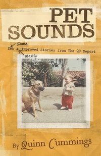 bokomslag Pet Sounds