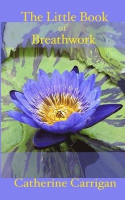 bokomslag The Little Book of Breathwork