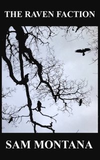 bokomslag Raven Faction