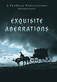 bokomslag Exquisite Aberrations